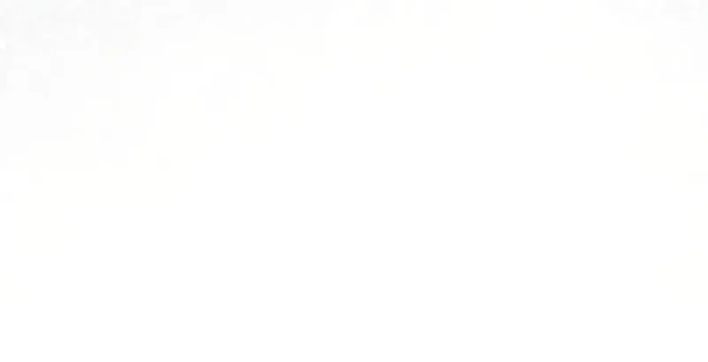 A Genius Wizard Who Breaks Boundaries