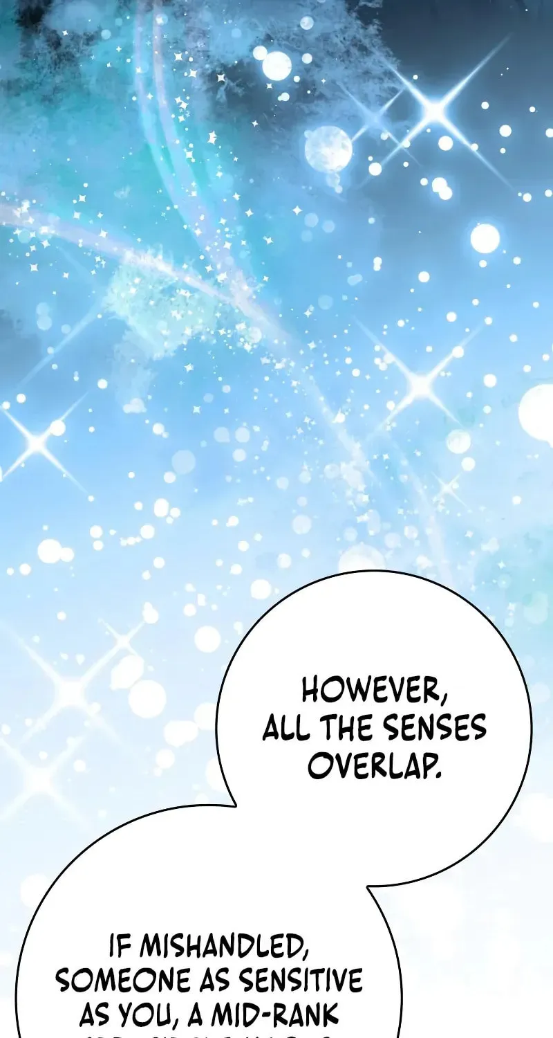A Genius Wizard Who Breaks Boundaries