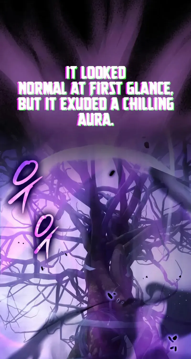 A Genius Wizard Who Breaks Boundaries