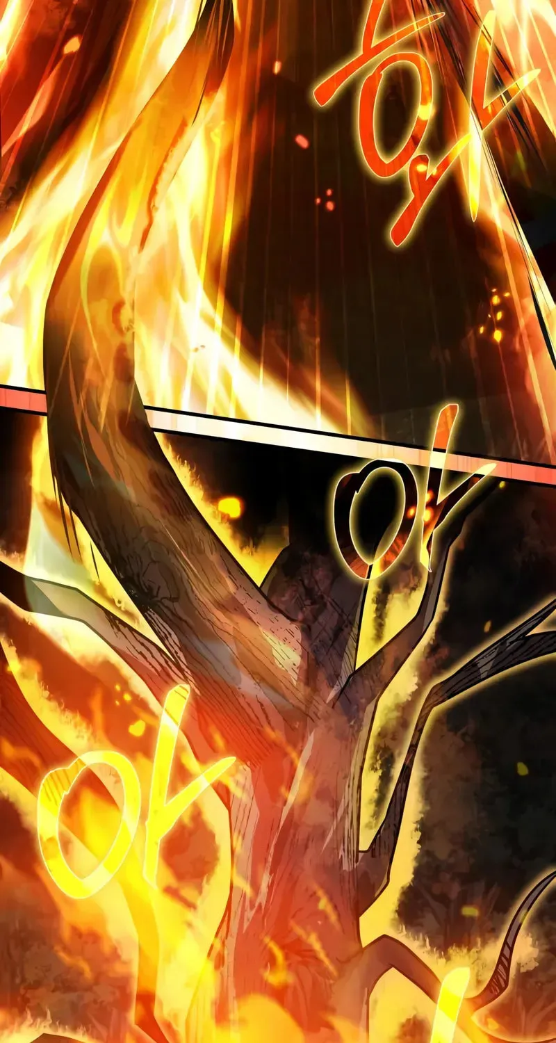 A Genius Wizard Who Breaks Boundaries