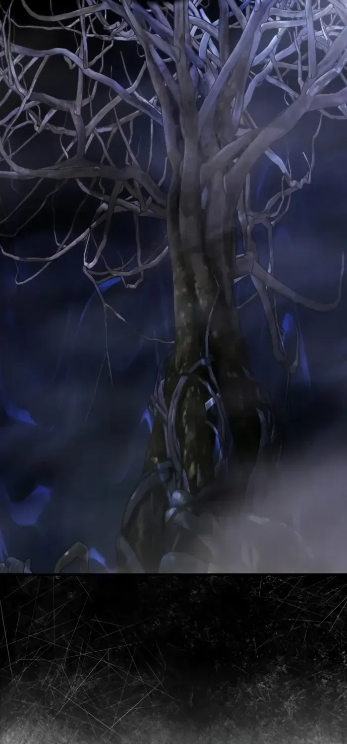 A Genius Wizard Who Breaks Boundaries