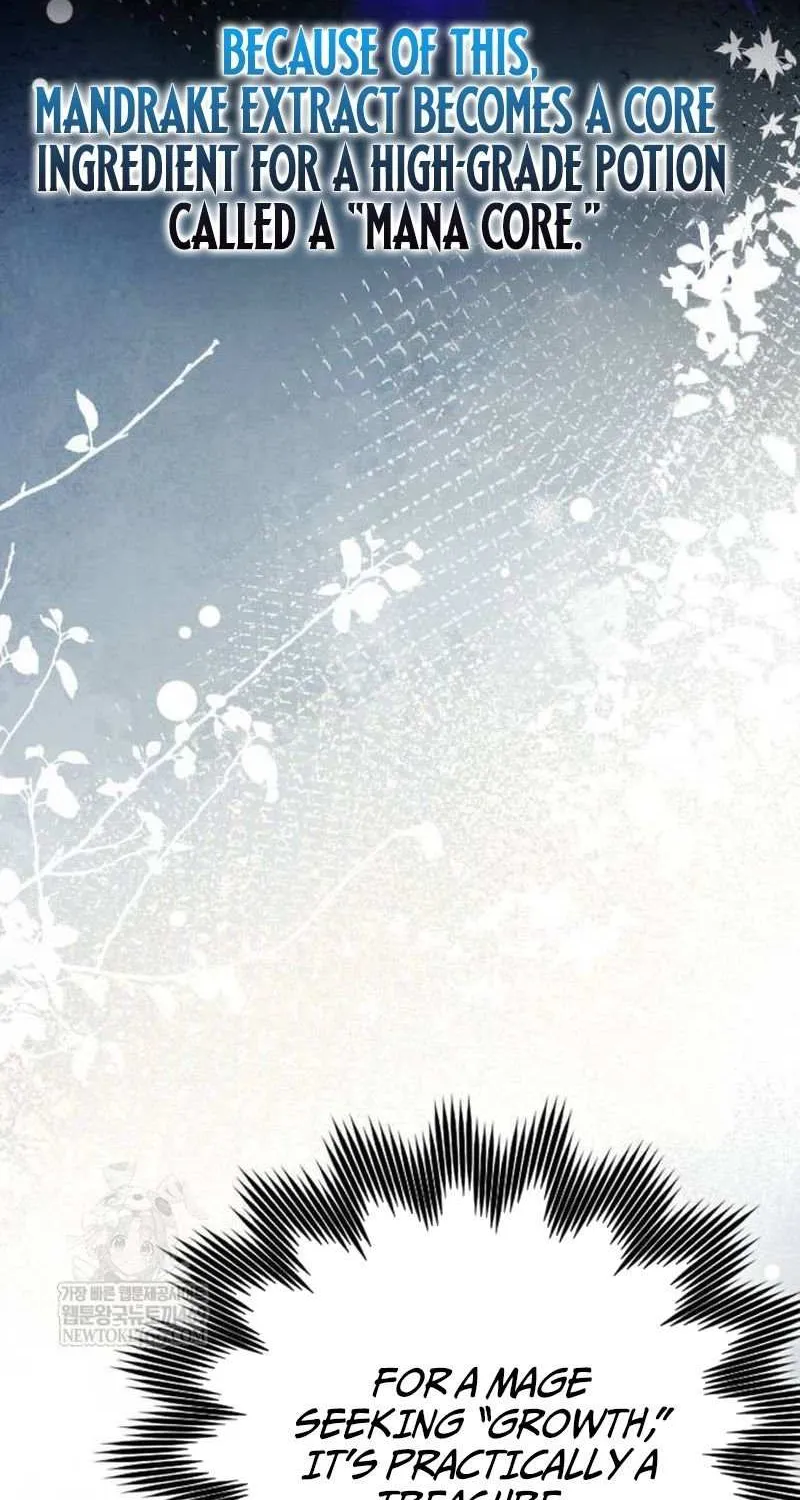 A Genius Wizard Who Breaks Boundaries