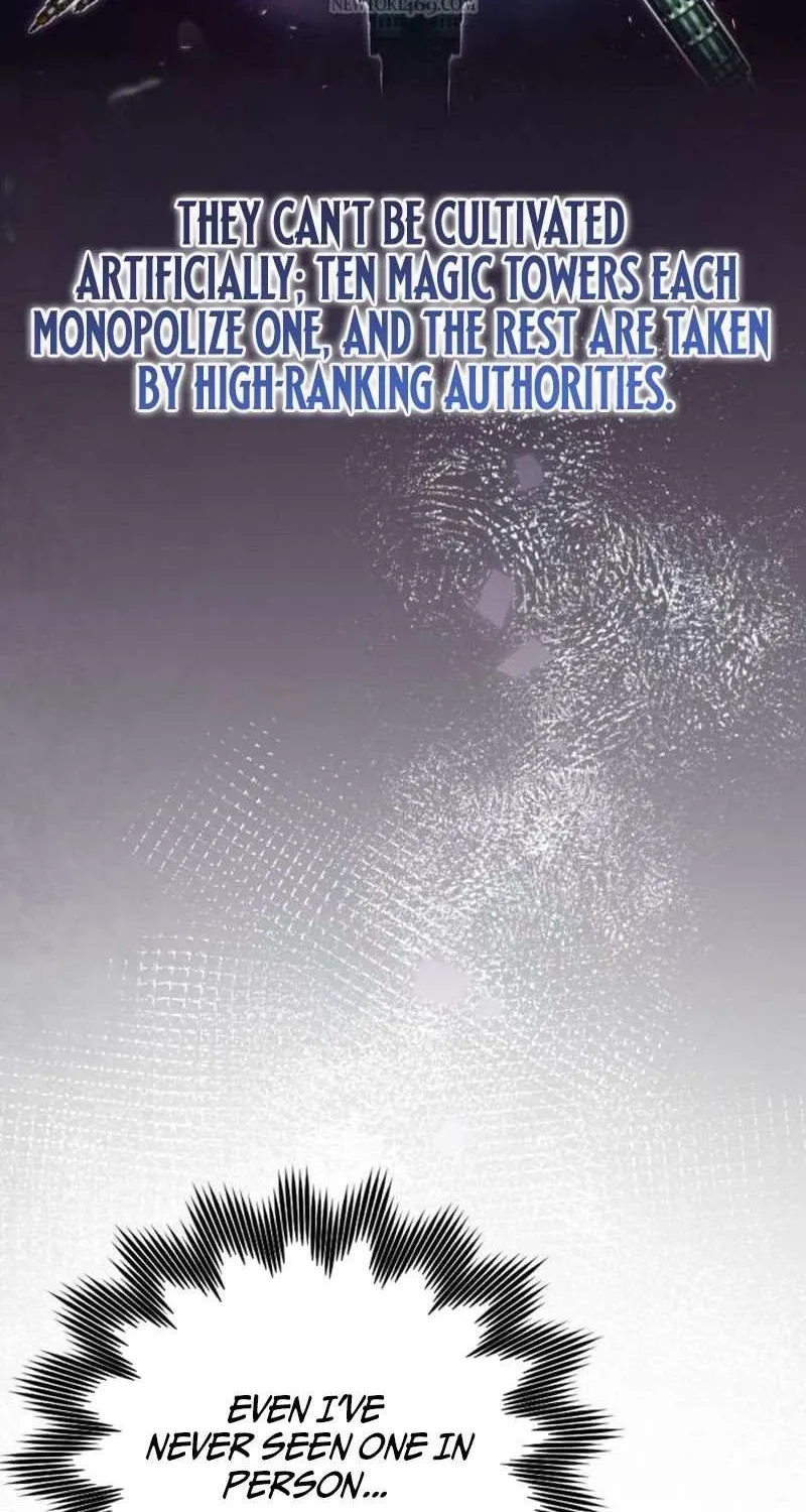 A Genius Wizard Who Breaks Boundaries