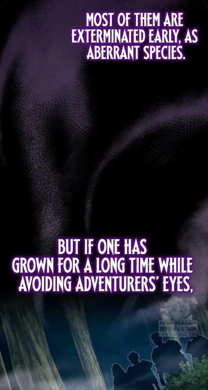 A Genius Wizard Who Breaks Boundaries