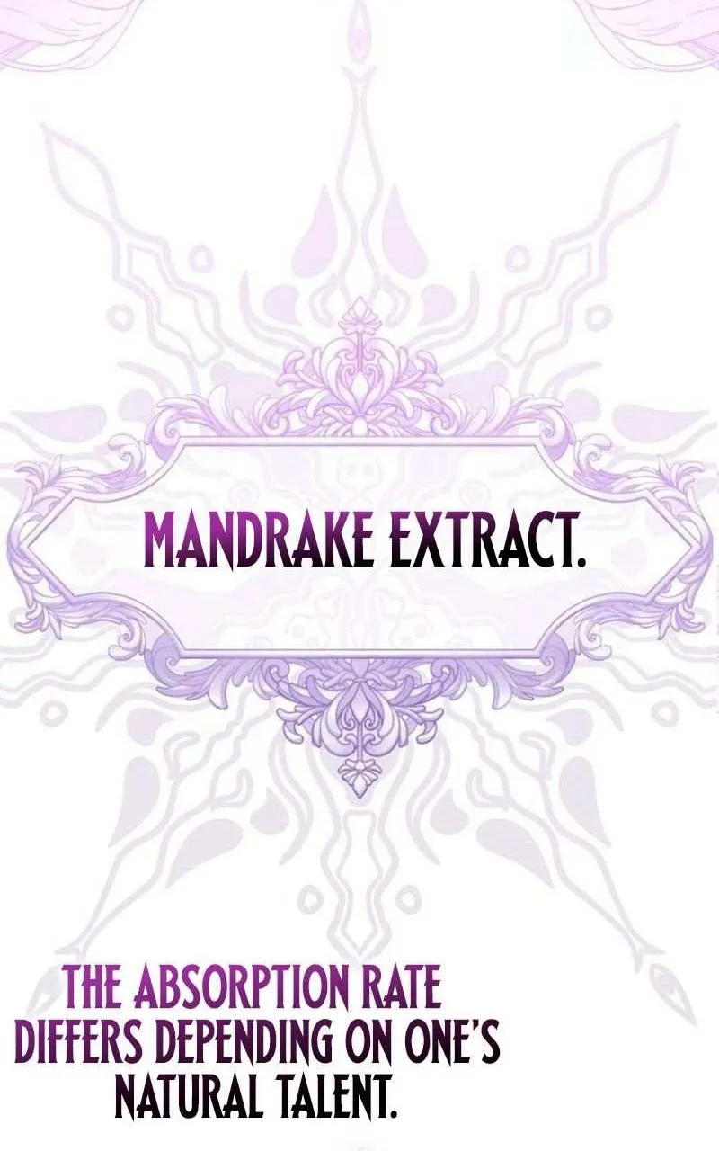 A Genius Wizard Who Breaks Boundaries