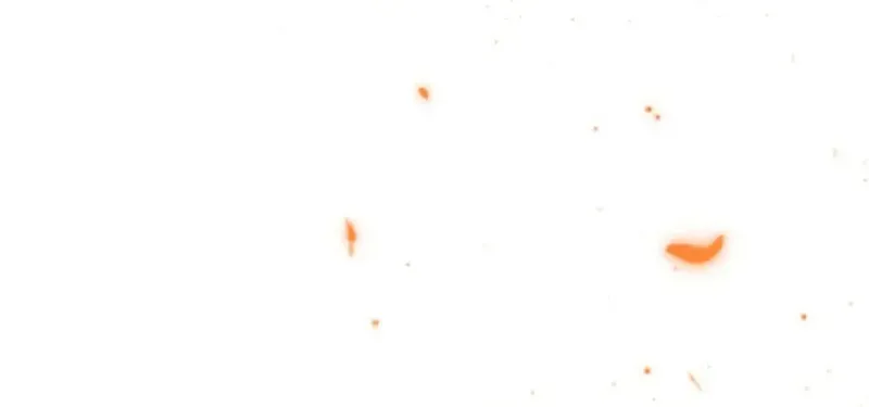 A Genius Wizard Who Breaks Boundaries