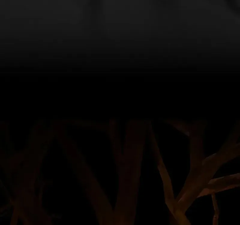 A Genius Wizard Who Breaks Boundaries