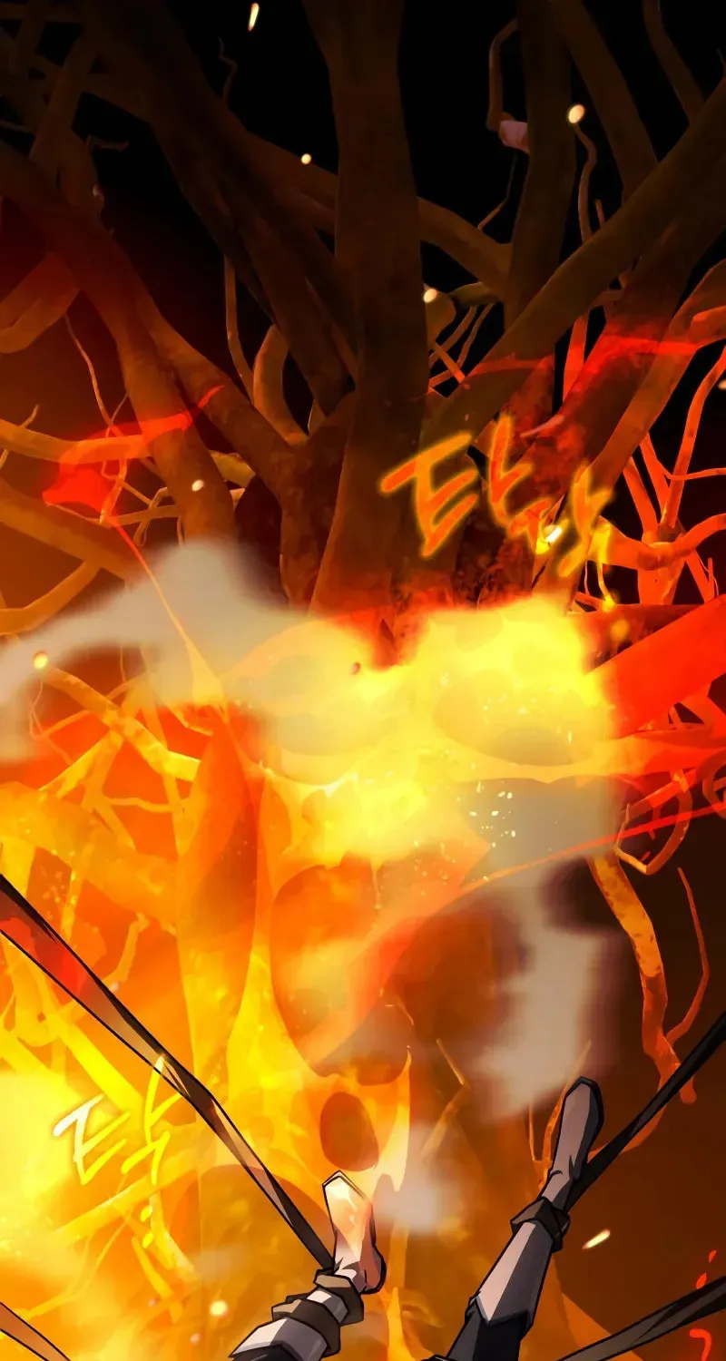 A Genius Wizard Who Breaks Boundaries