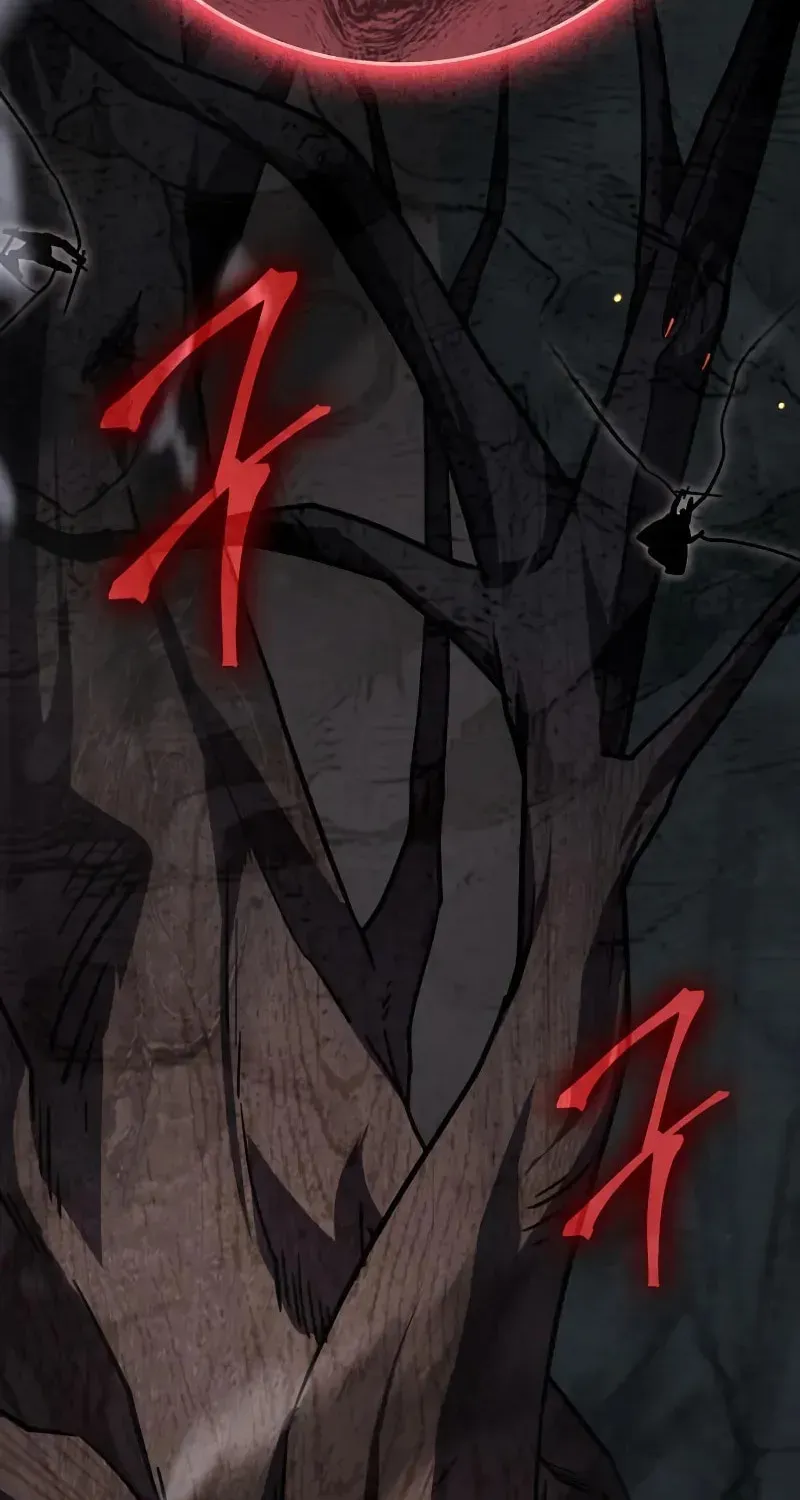 A Genius Wizard Who Breaks Boundaries