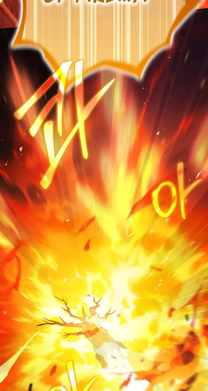 A Genius Wizard Who Breaks Boundaries