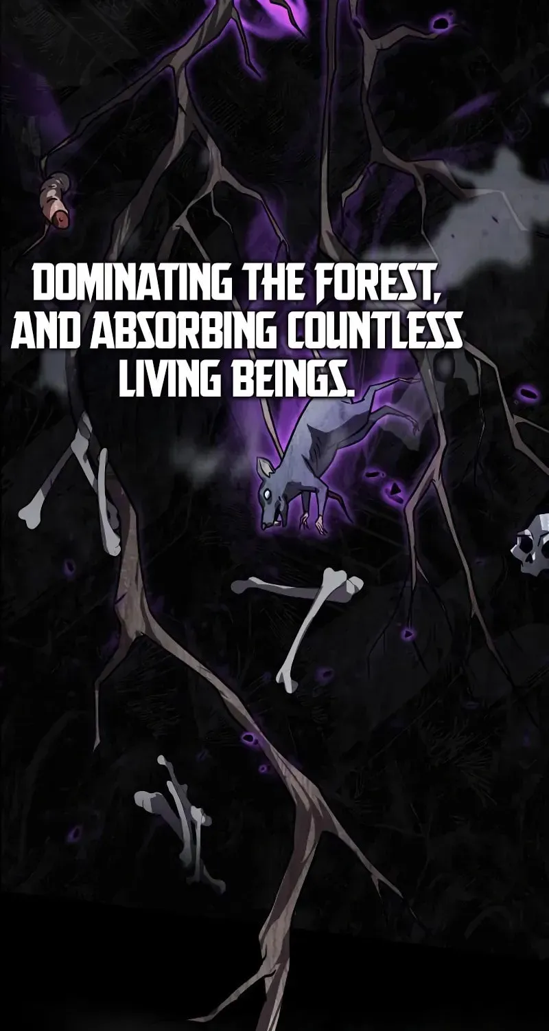 A Genius Wizard Who Breaks Boundaries