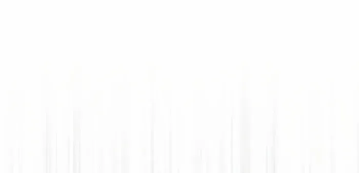 A Genius Wizard Who Breaks Boundaries