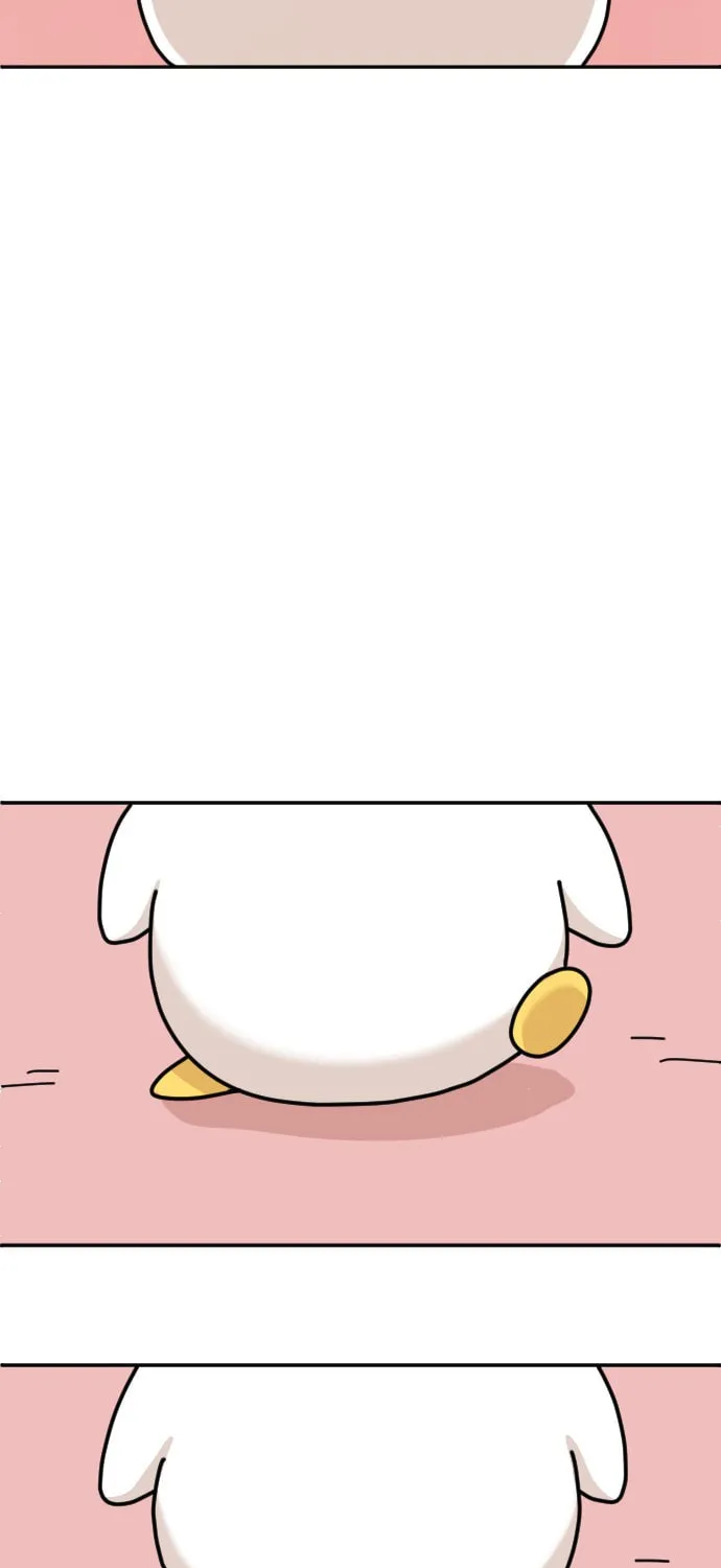 Ducks Are the Best!