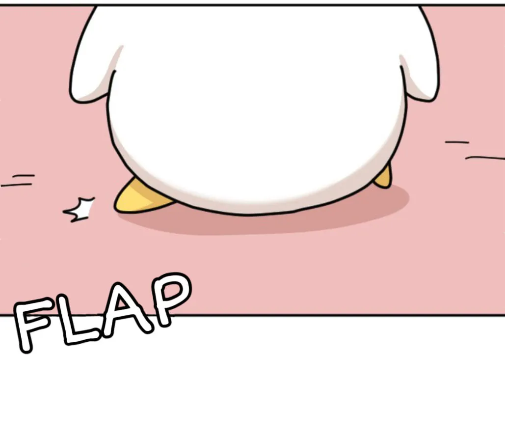 Ducks Are the Best!