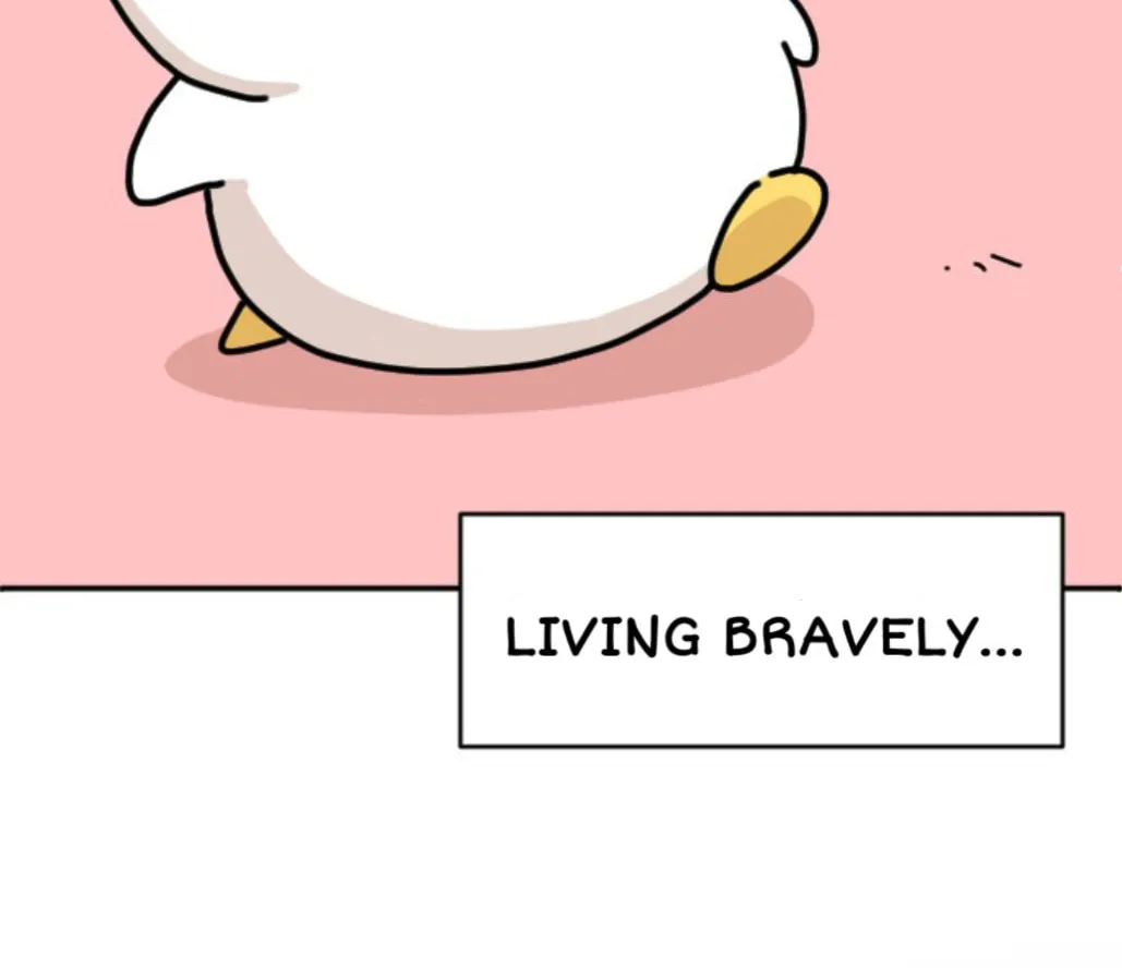 Ducks Are the Best!