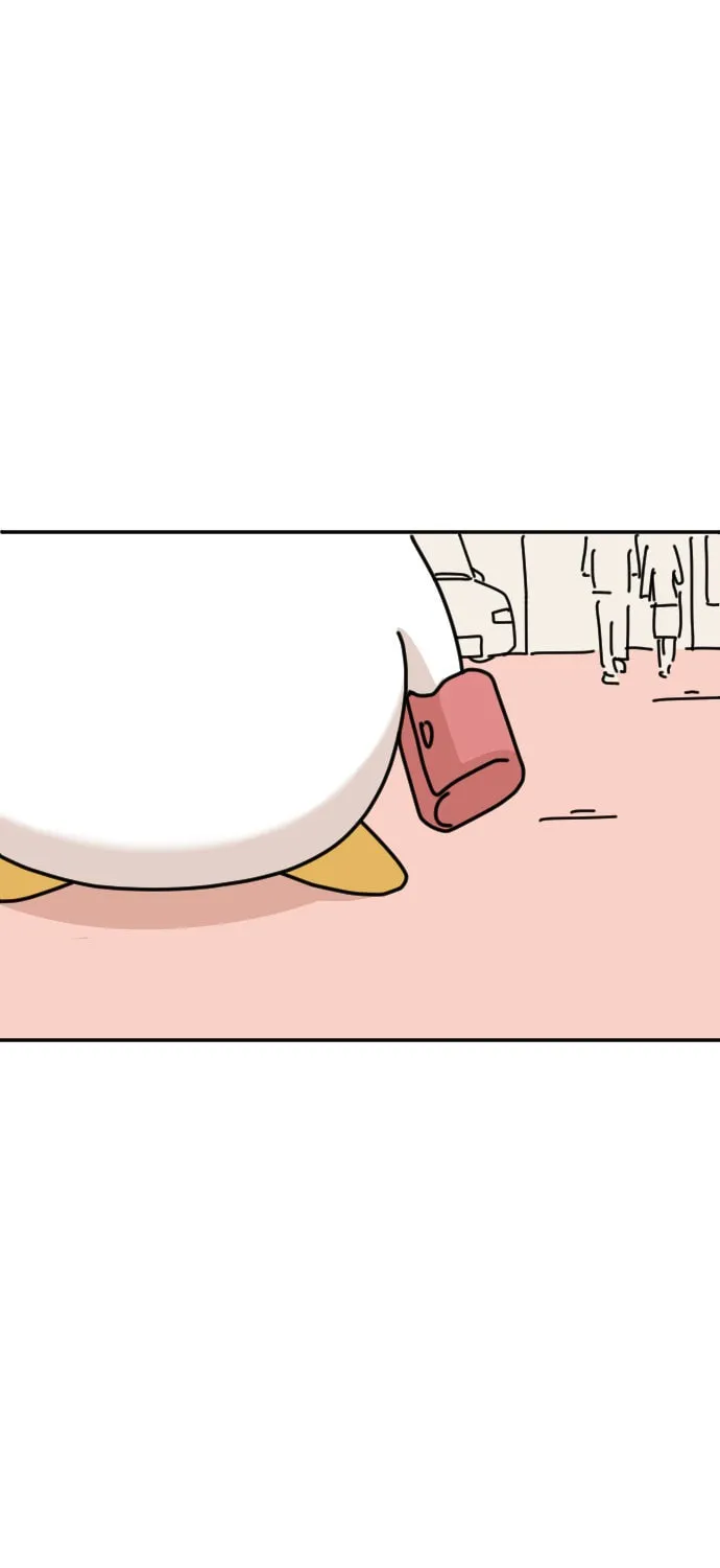Ducks Are the Best!