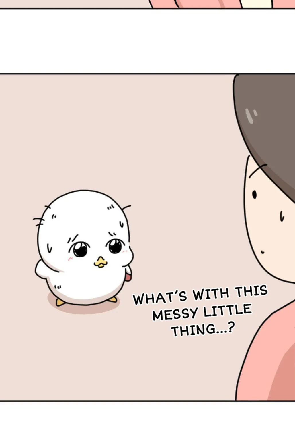 Ducks Are the Best!