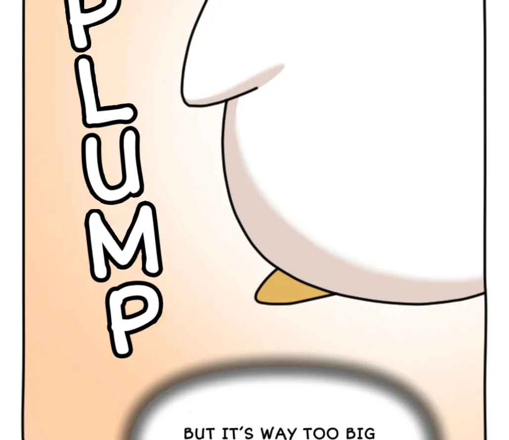 Ducks Are the Best!