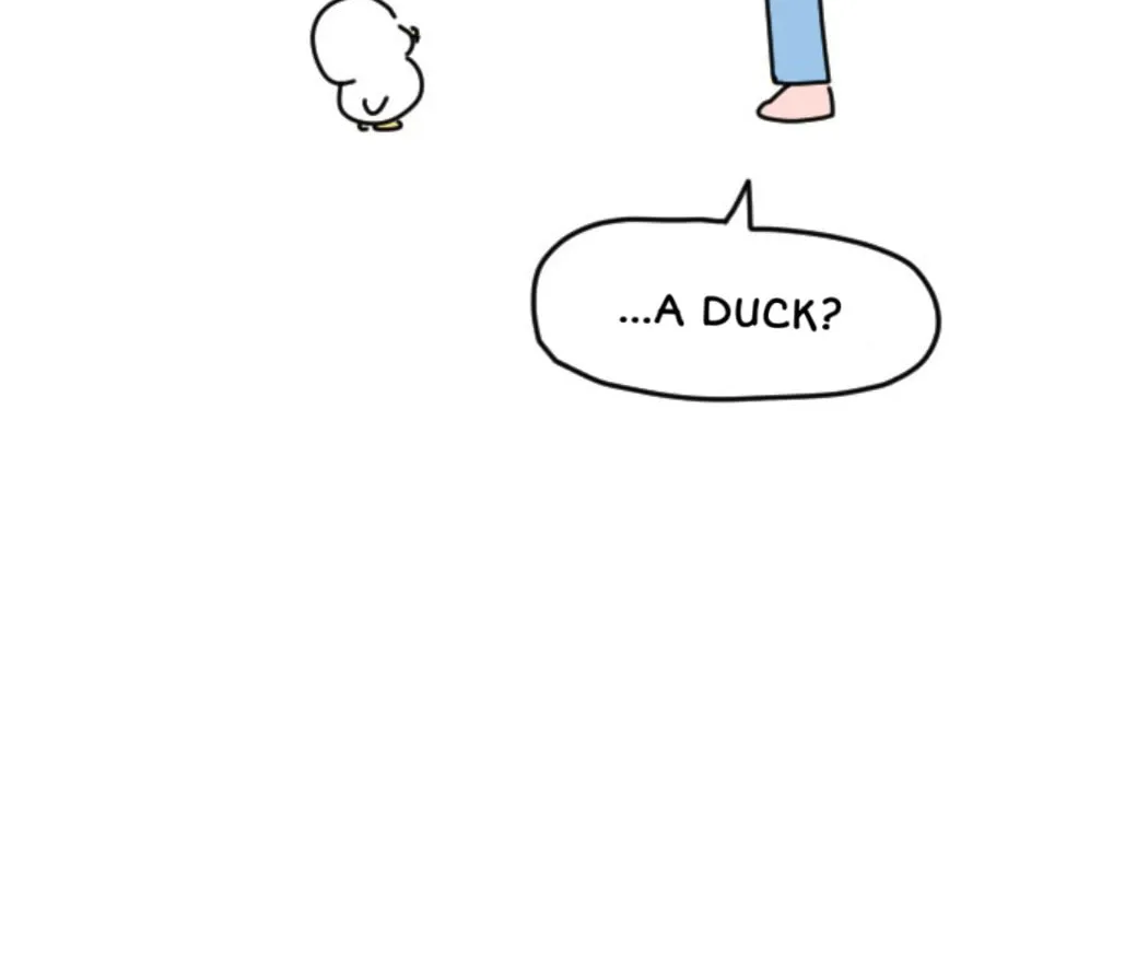 Ducks Are the Best!