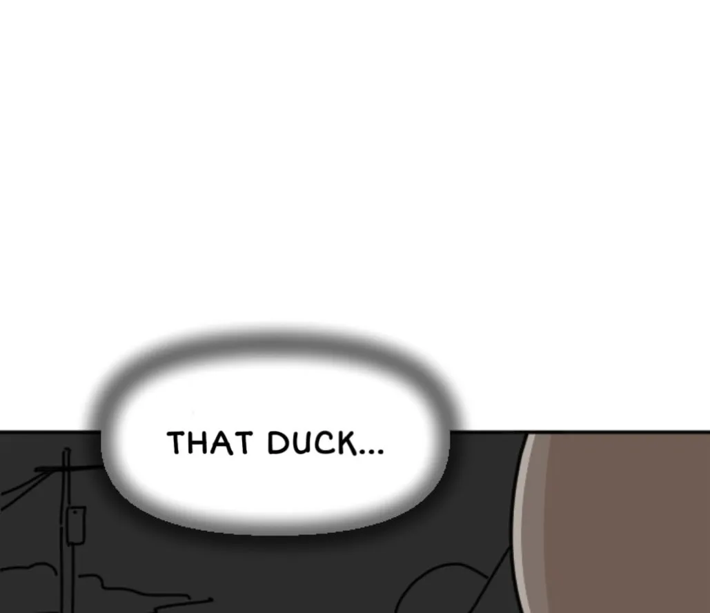 Ducks Are the Best!