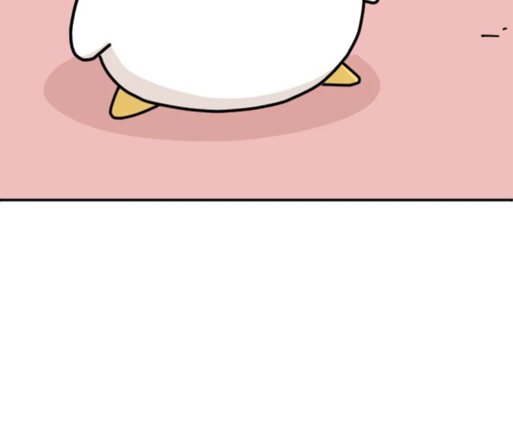 Ducks Are the Best!