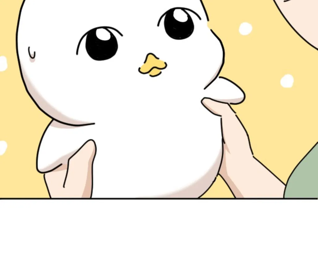 Ducks Are the Best!
