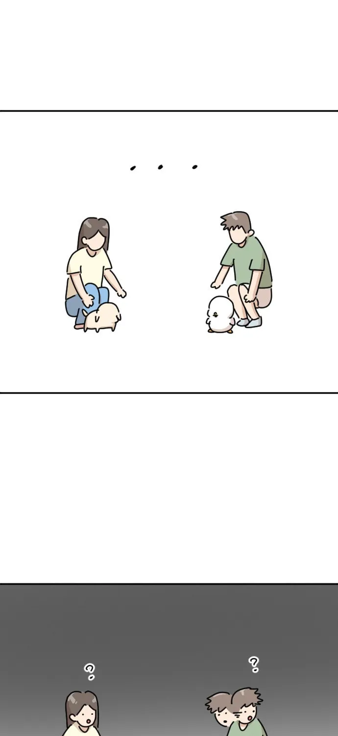 Ducks Are the Best!