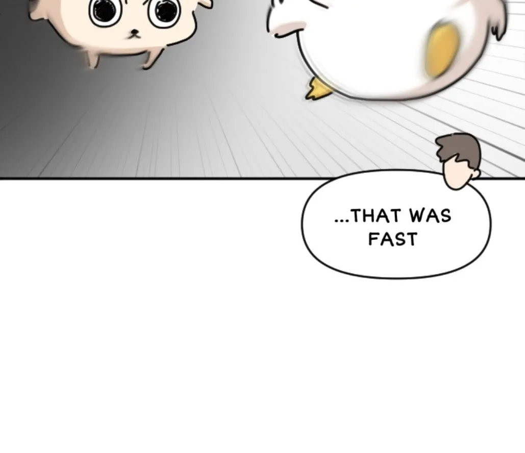 Ducks Are the Best!