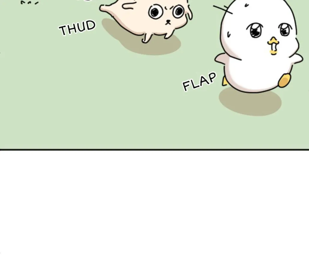 Ducks Are the Best!