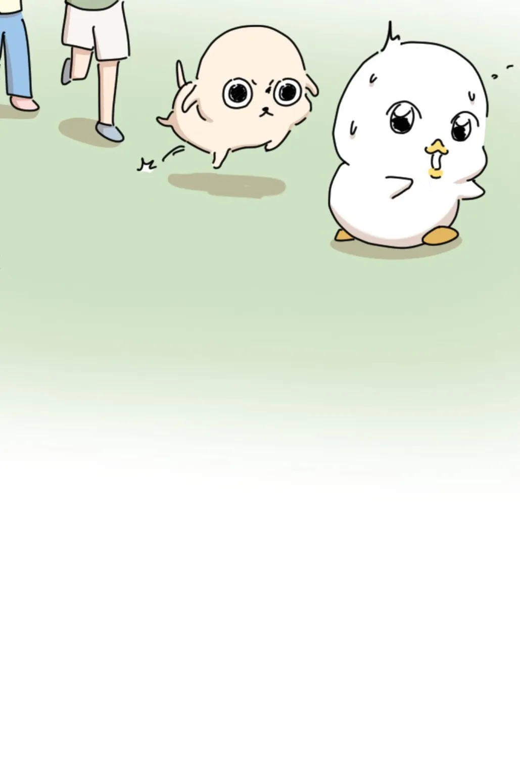 Ducks Are the Best!