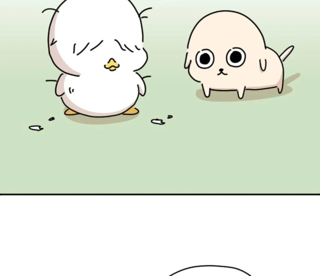 Ducks Are the Best!