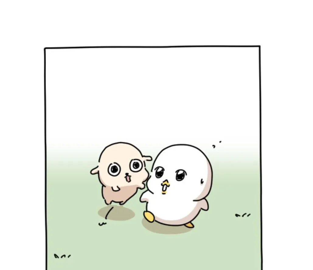 Ducks Are the Best!