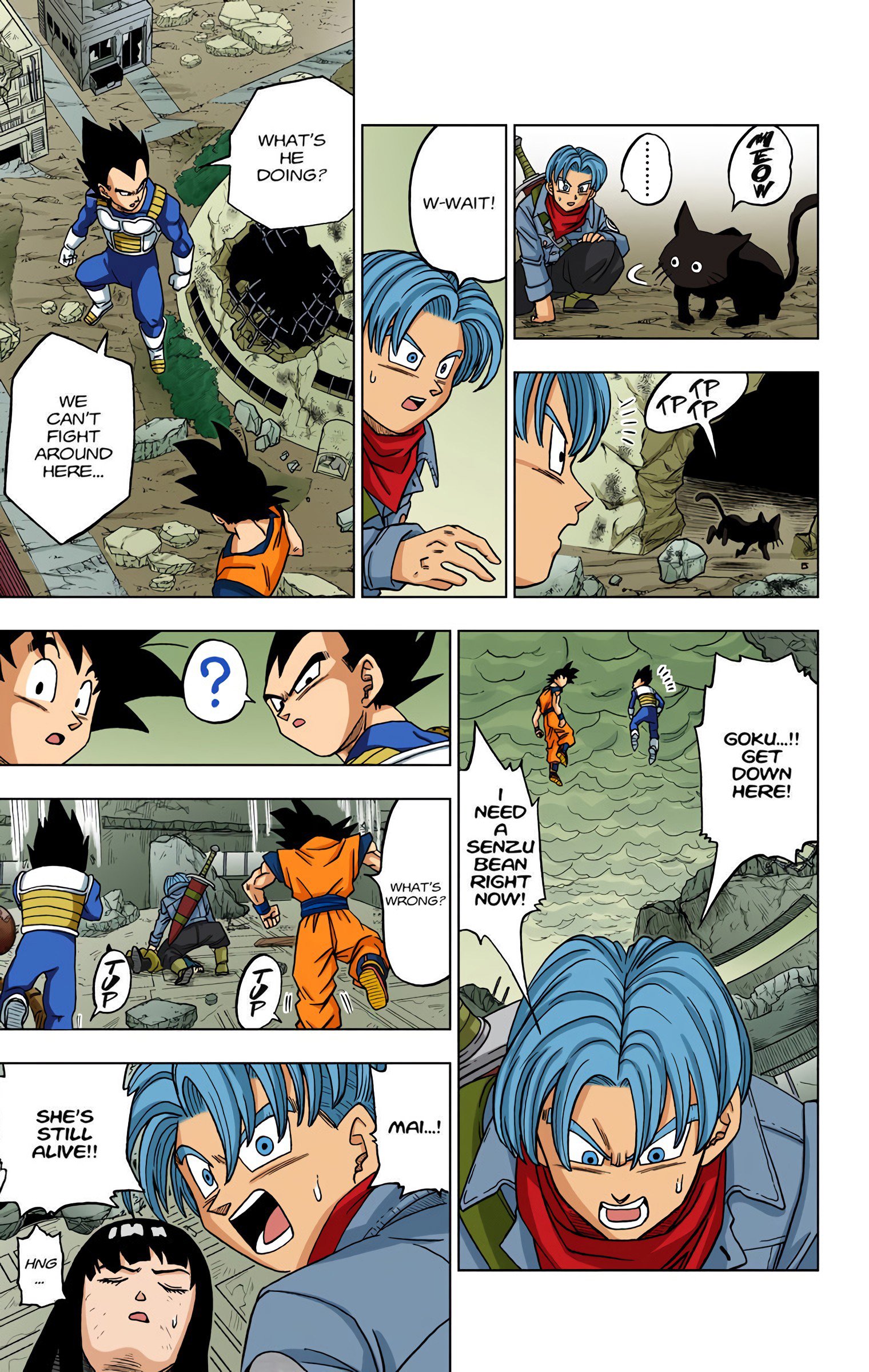 DBS Colored Manga