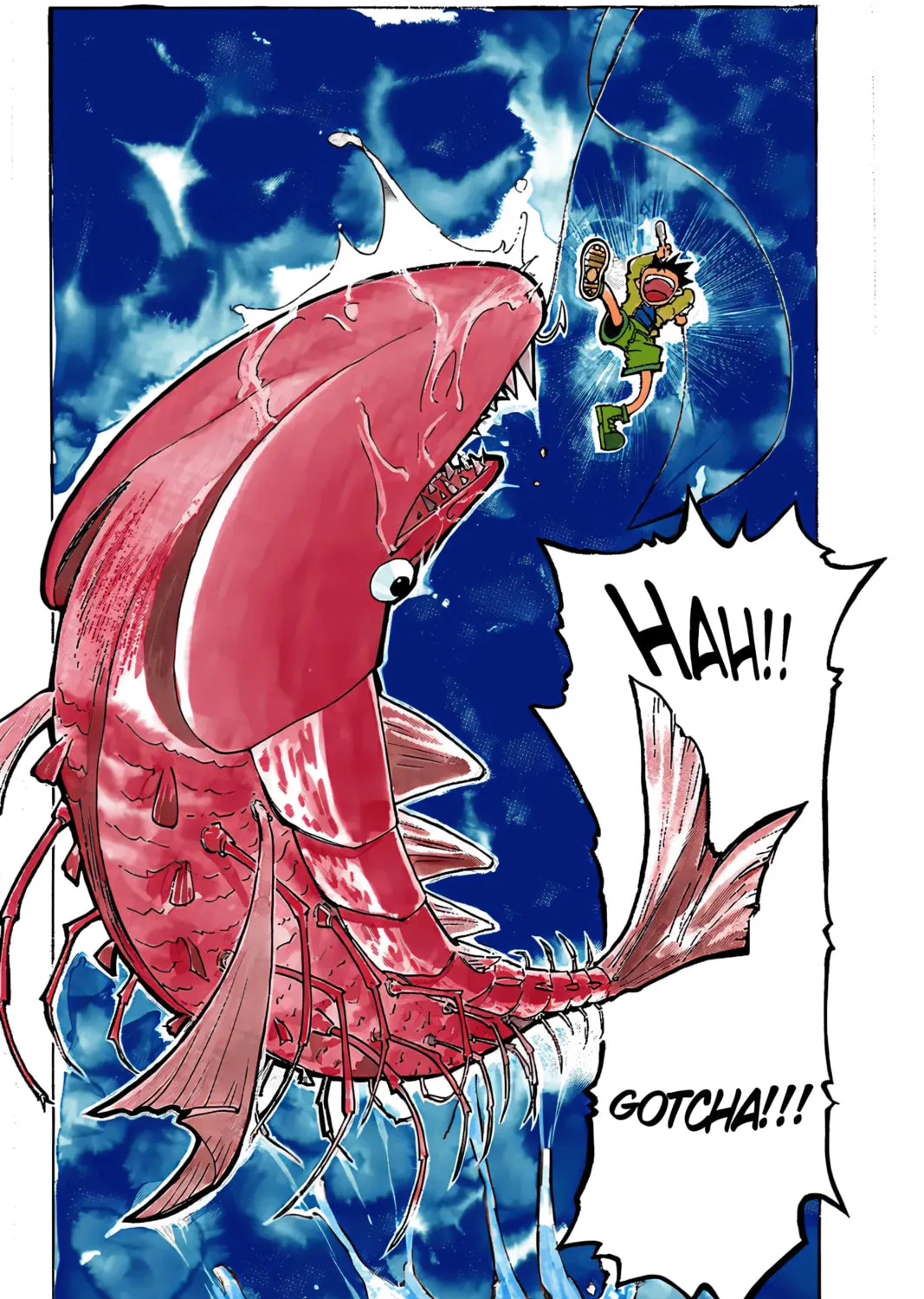 Hunter x Hunter Colored Manga