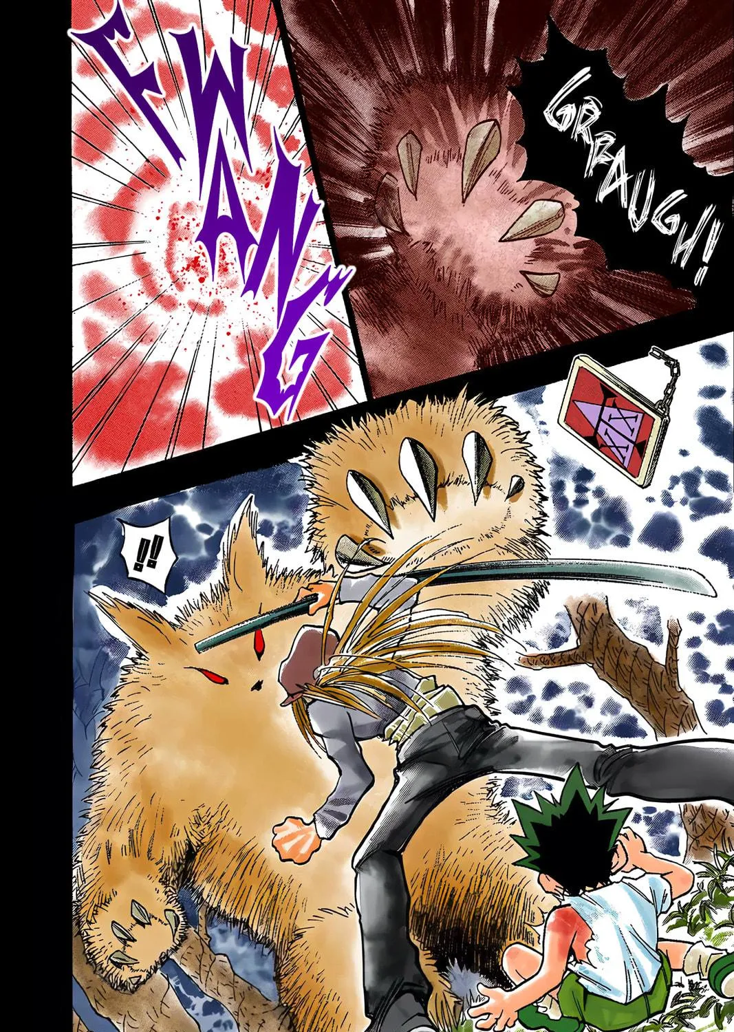 Hunter x Hunter Colored Manga