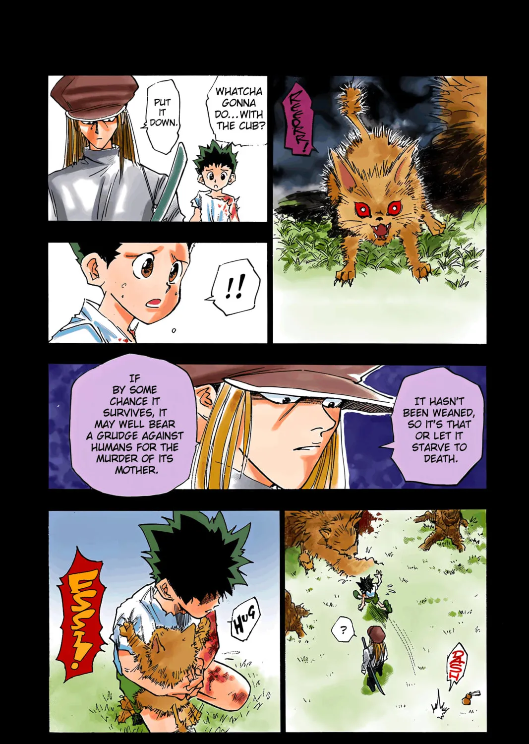 Hunter x Hunter Colored Manga