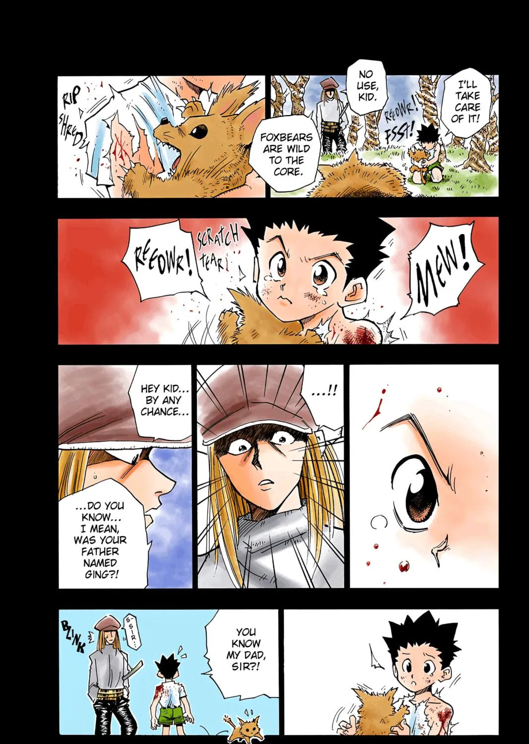 Hunter x Hunter Colored Manga