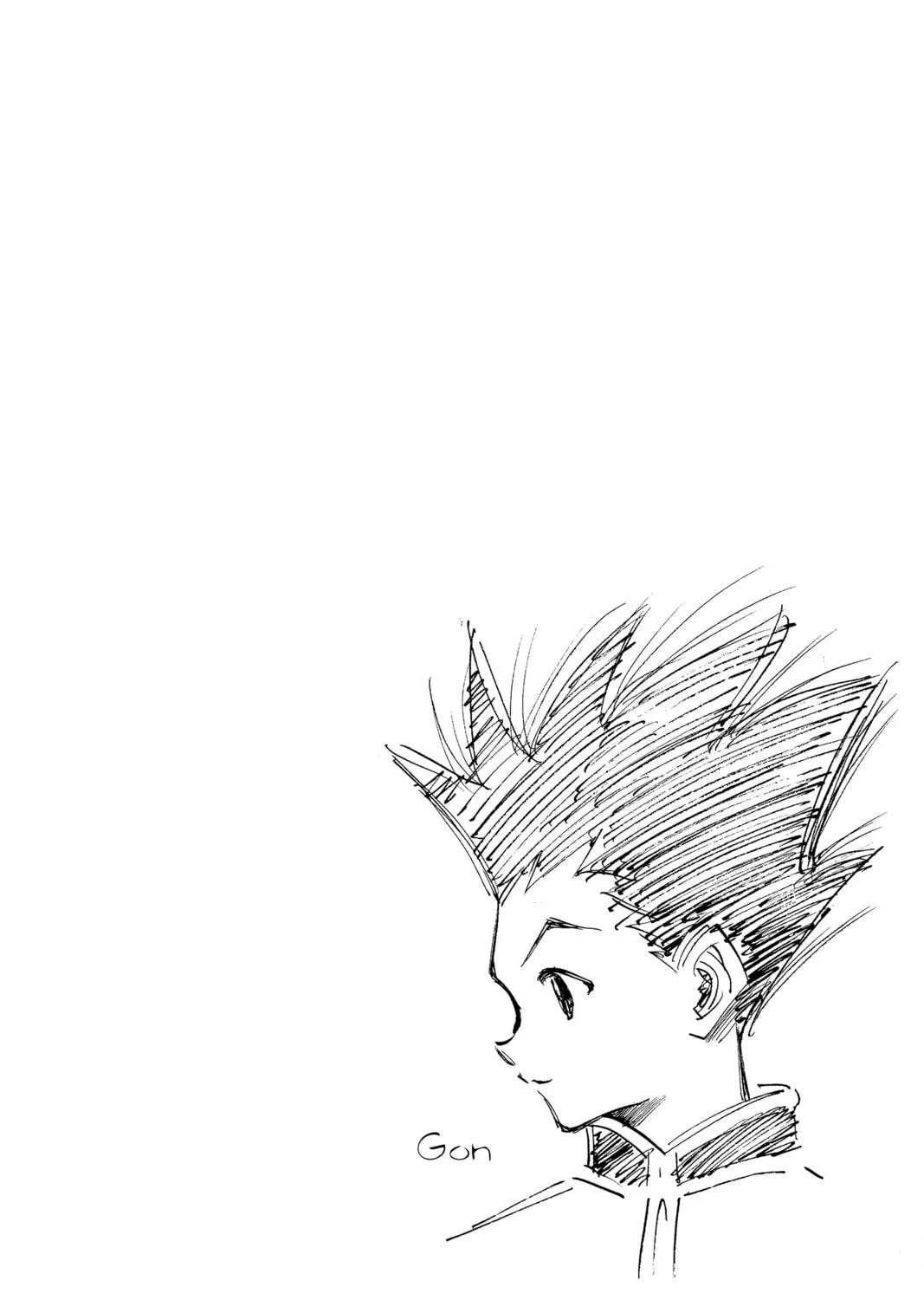 Hunter x Hunter Colored Manga