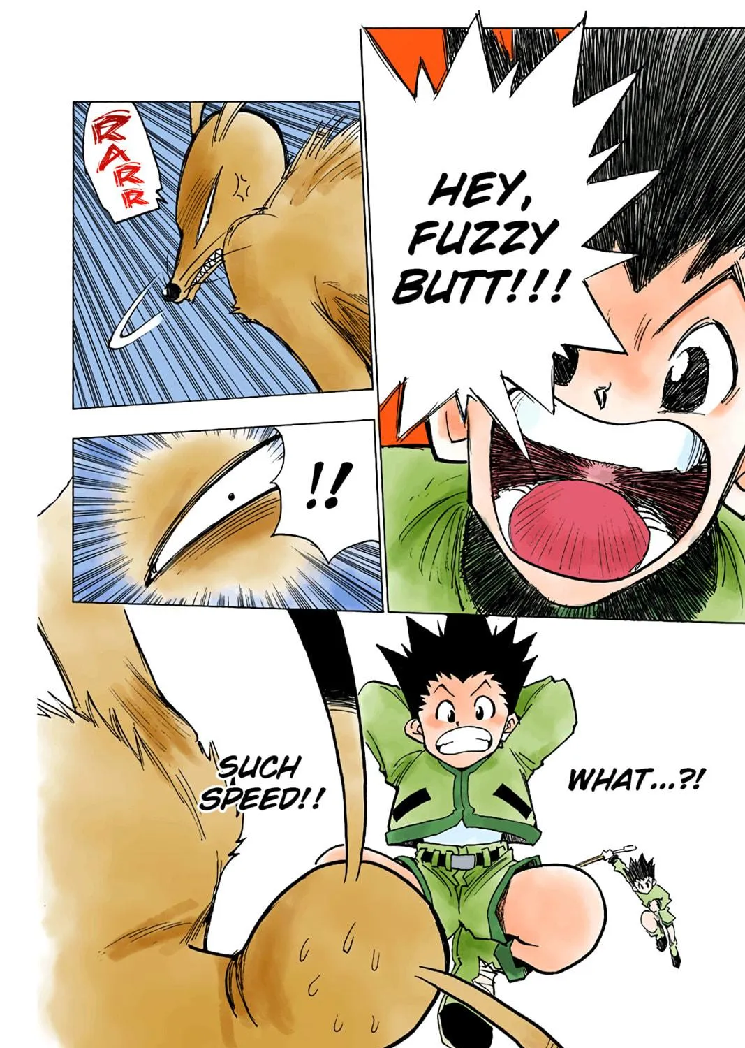 Hunter x Hunter Colored Manga