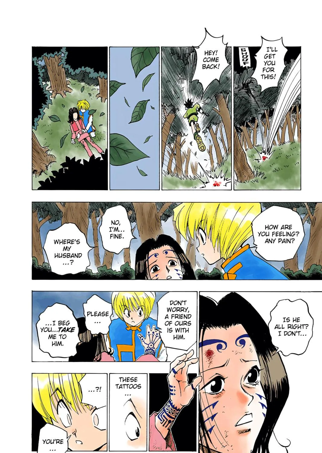 Hunter x Hunter Colored Manga
