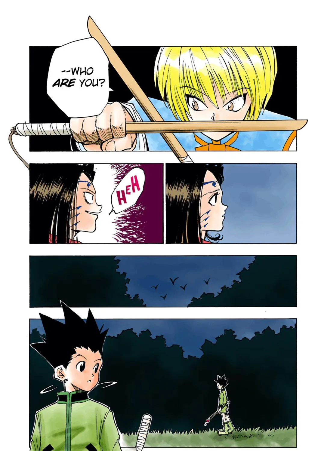 Hunter x Hunter Colored Manga