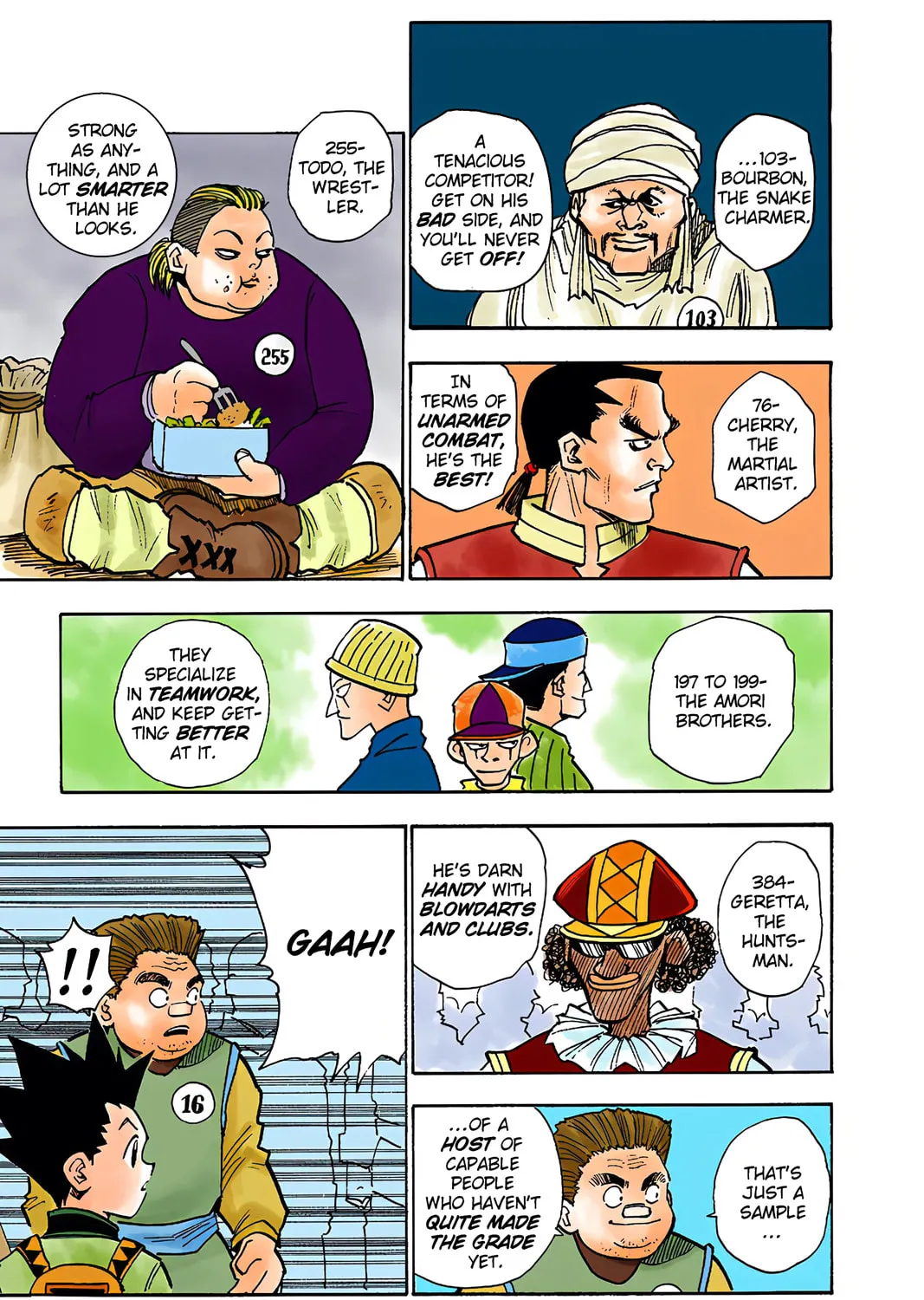 Hunter x Hunter Colored Manga