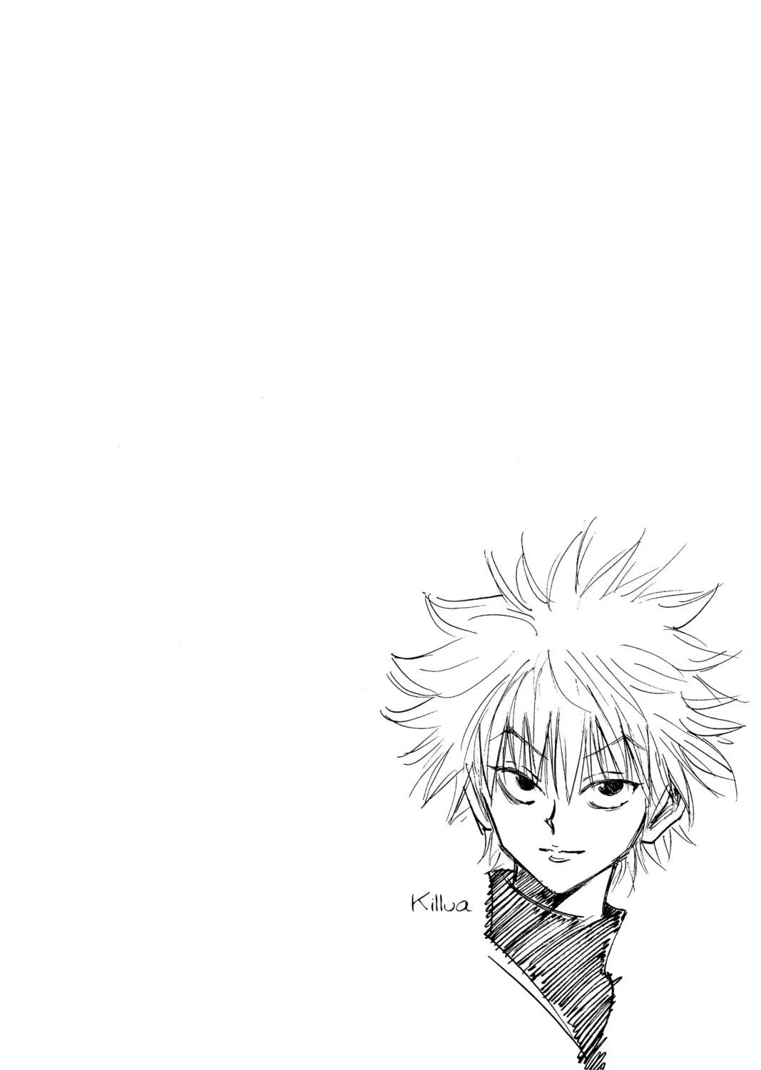 Hunter x Hunter Colored Manga