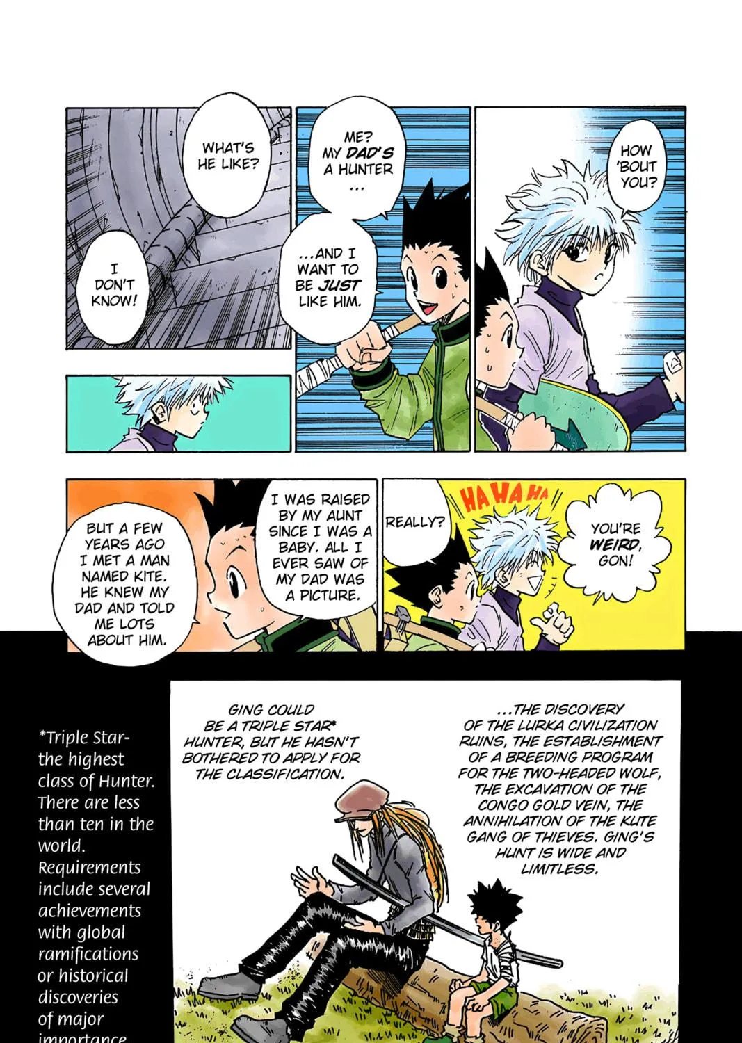 Hunter x Hunter Colored Manga