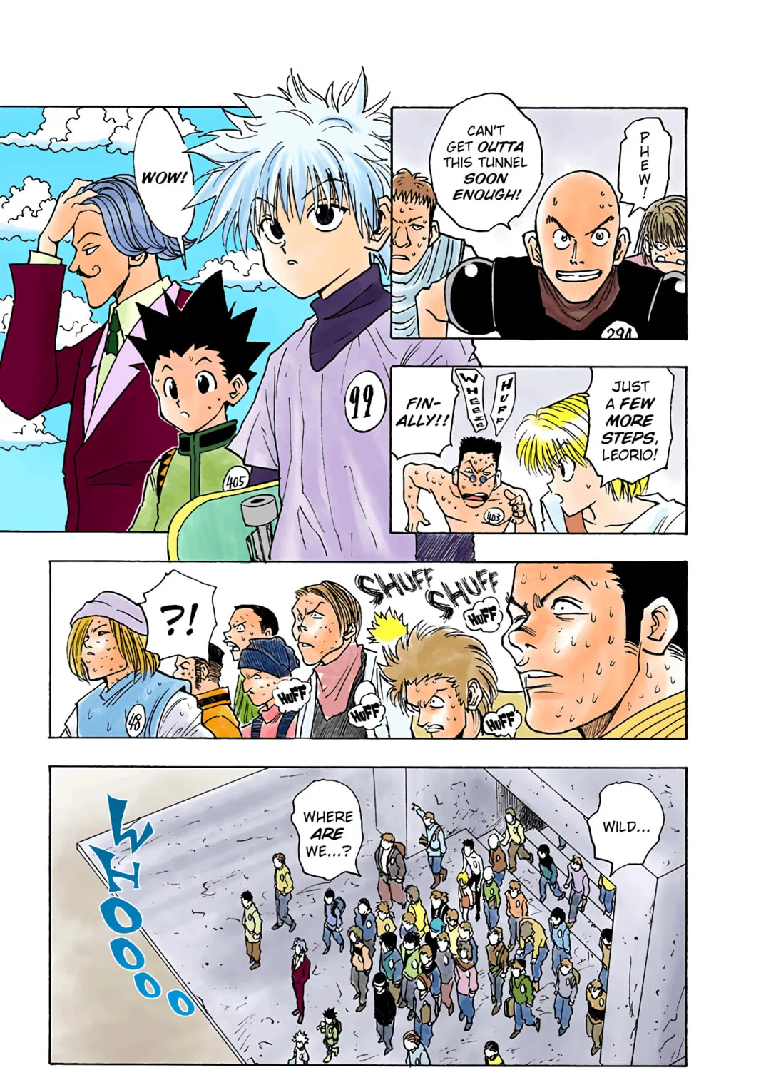 Hunter x Hunter Colored Manga