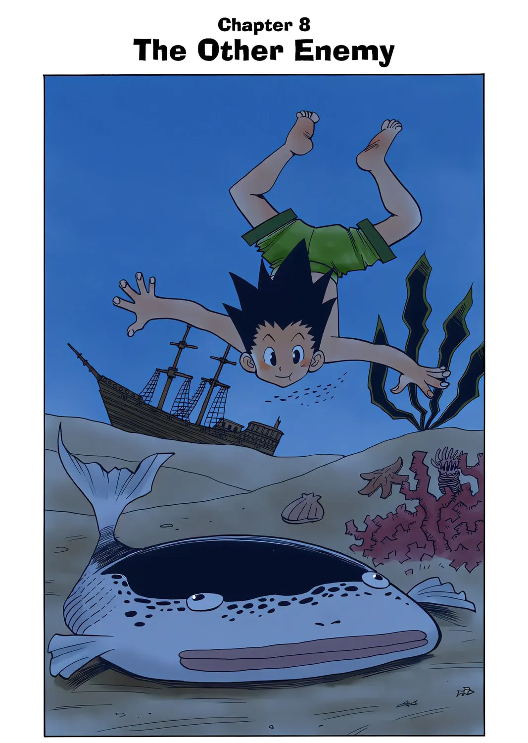 Hunter x Hunter Colored Manga
