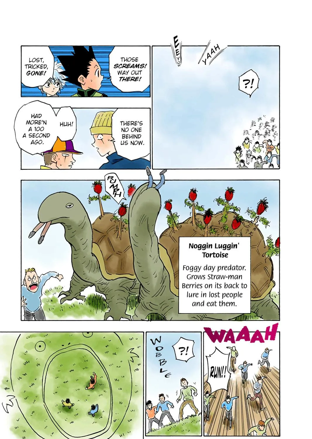 Hunter x Hunter Colored Manga