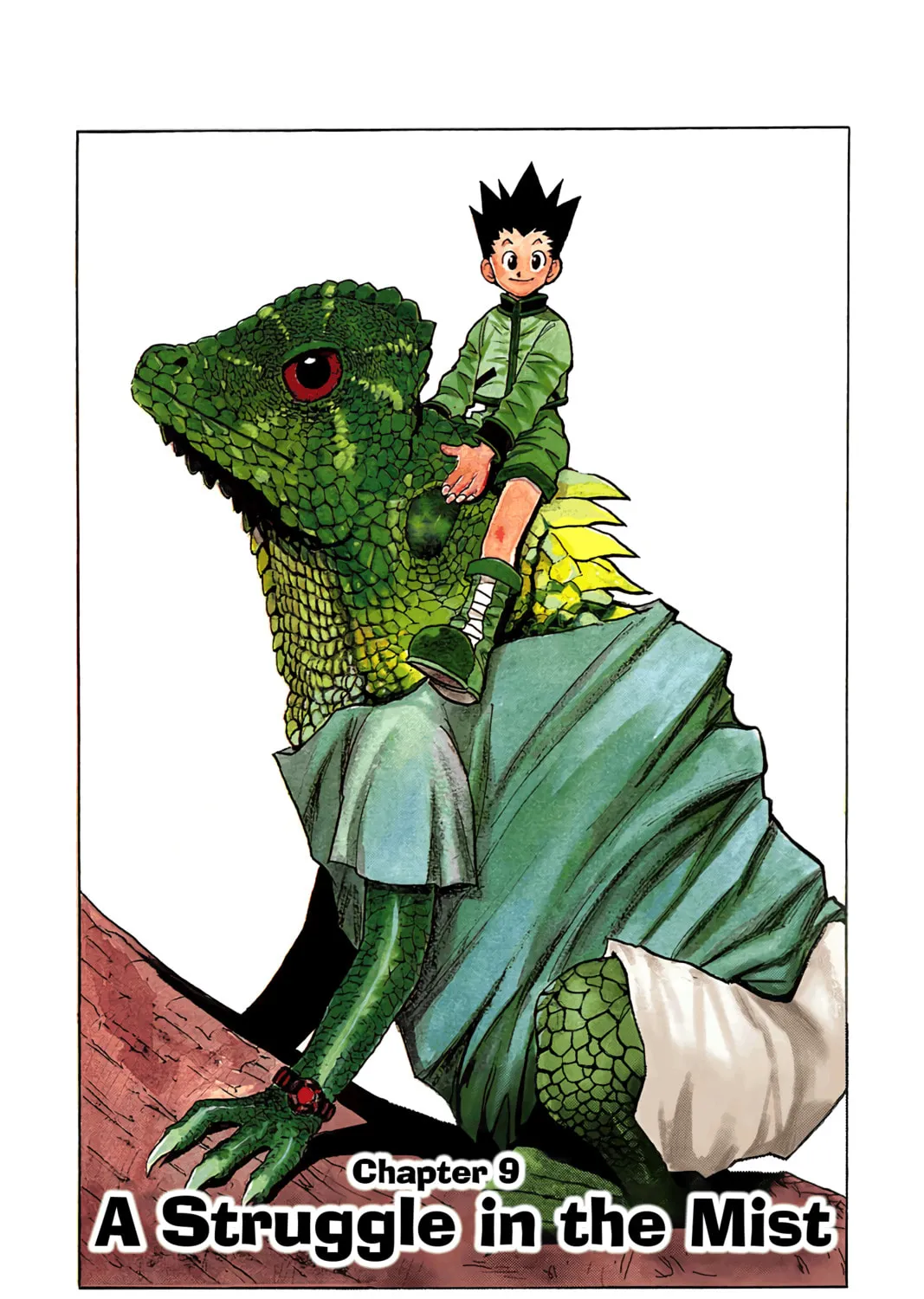 Hunter x Hunter Colored Manga