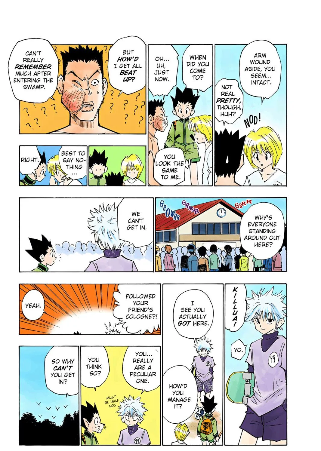 Hunter x Hunter Colored Manga