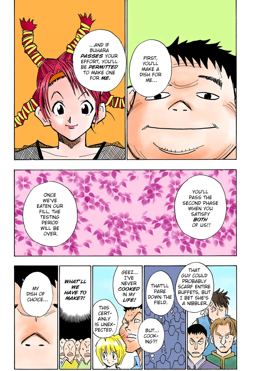 Hunter x Hunter Colored Manga